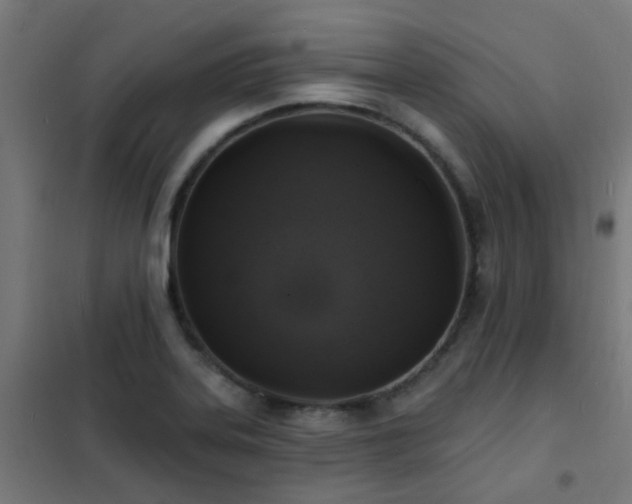 X0000102231323200807251226