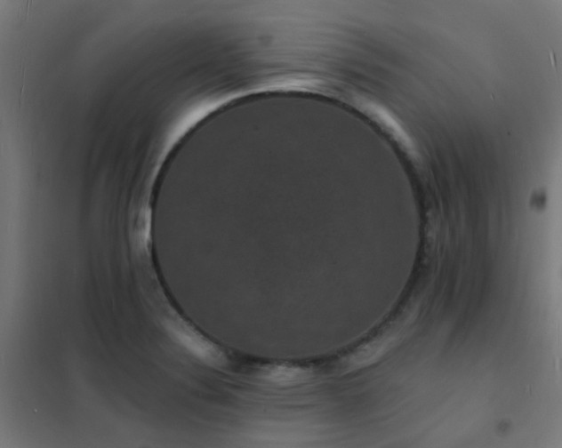 X0000102231324200807251226