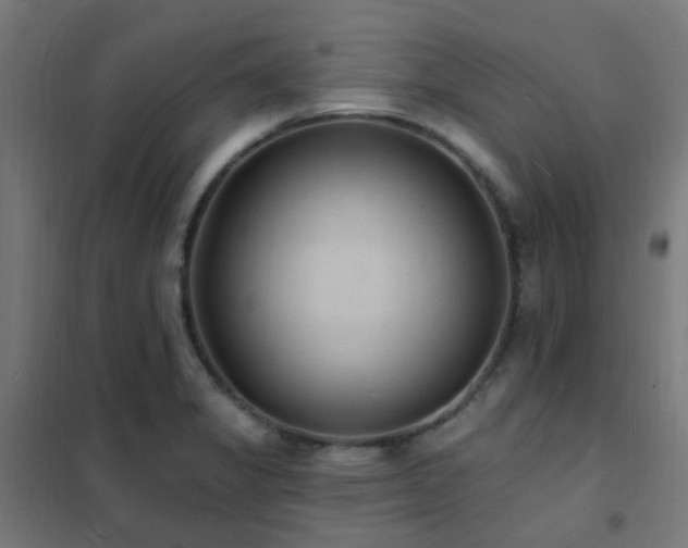 X0000102231325200807251226