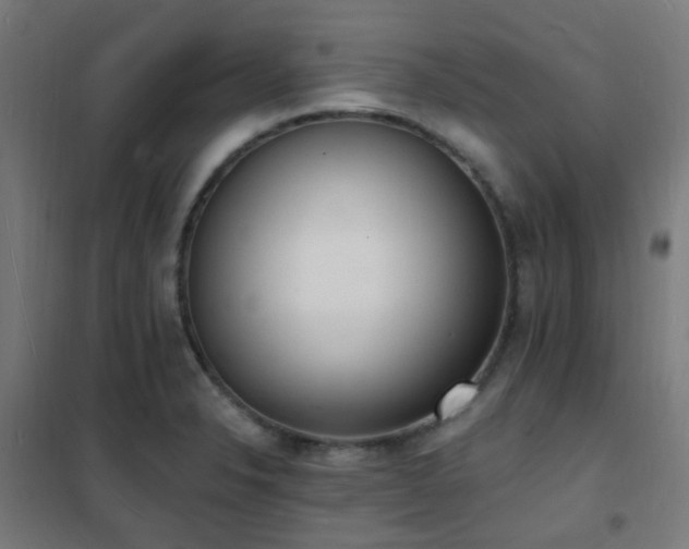 X0000102231326200807251226