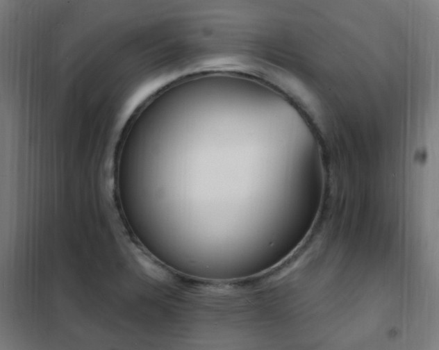 X0000102231328200807251226