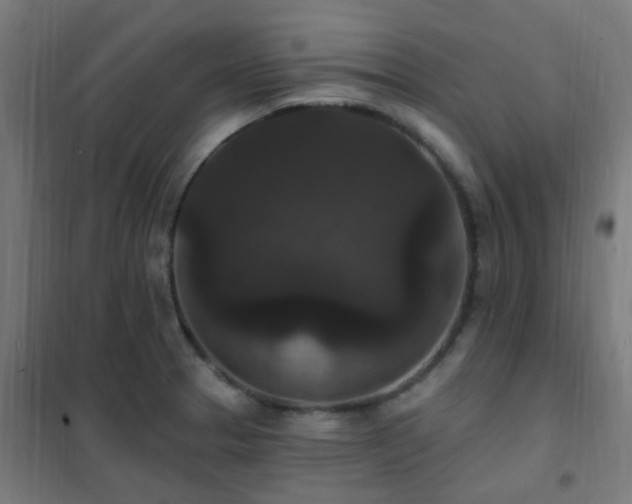 X0000102231329200807251226