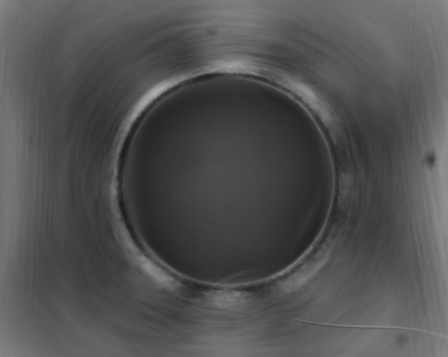 X0000102231331200807251226
