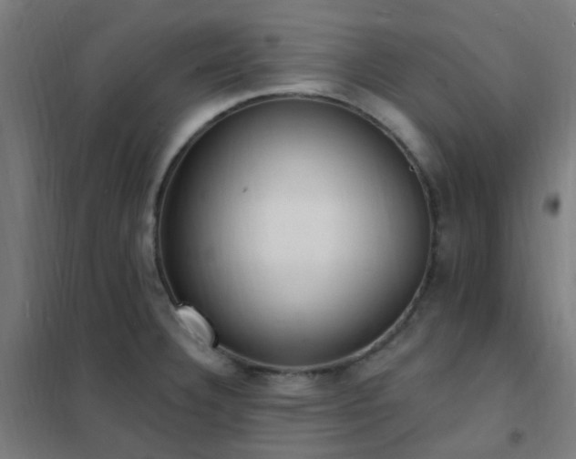 X0000102231332200807251226