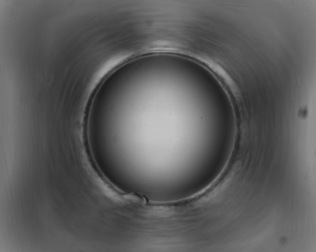 X0000102231333200807251226