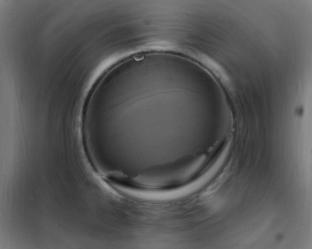 X0000102231334200807251226