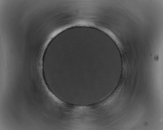 X0000102231335200807251226