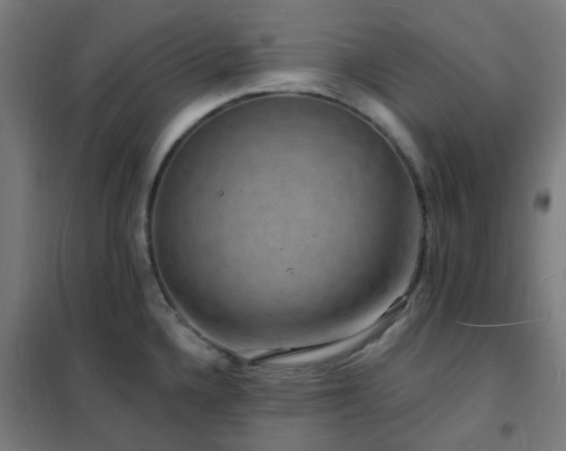 X0000102231336200807251226