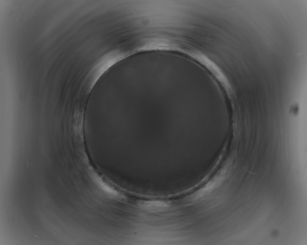 X0000102231337200807251226