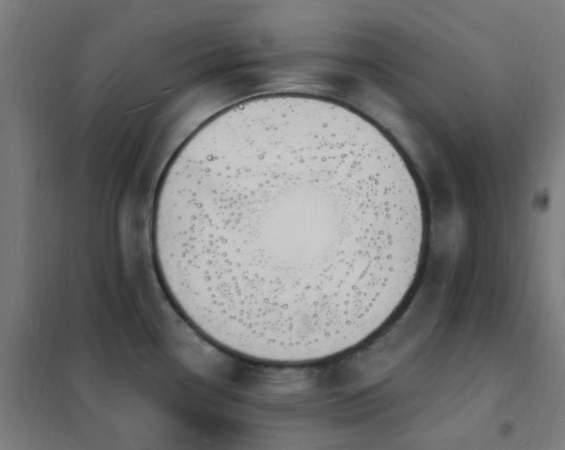 X0000102231338200807251226