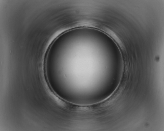 X0000102231339200807251226