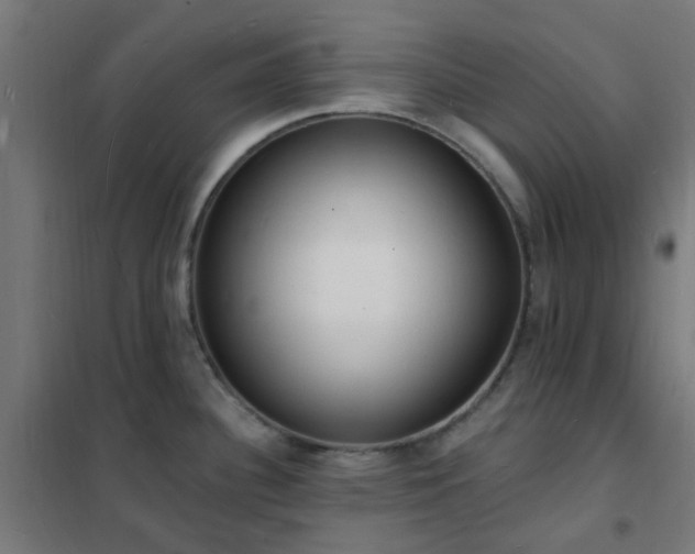 X0000102231340200807251226