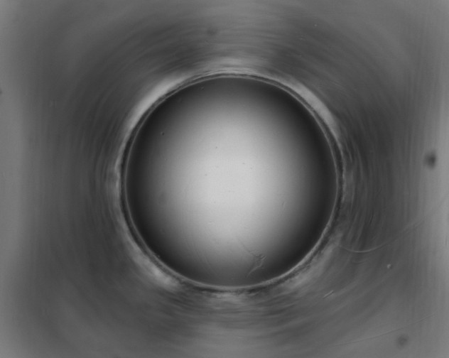 X0000102231341200807251226