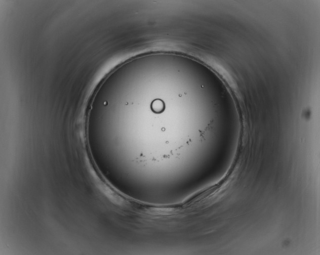 X0000102231342200807251226