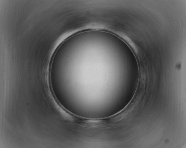 X0000102231343200807251226
