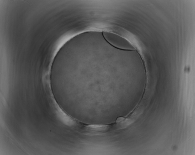 X0000102231344200807251226