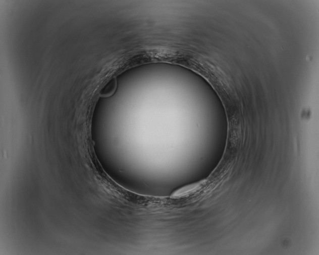 X0000102231345200807251225