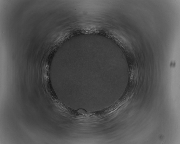 X0000102231346200807251225