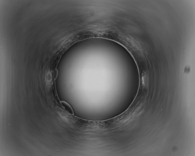 X0000102231347200807251225