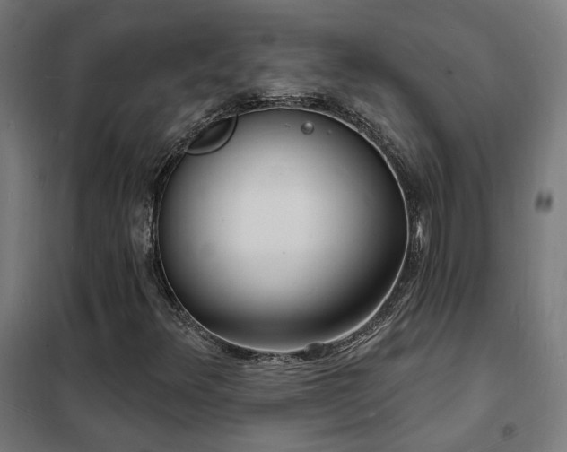 X0000102231348200807251225