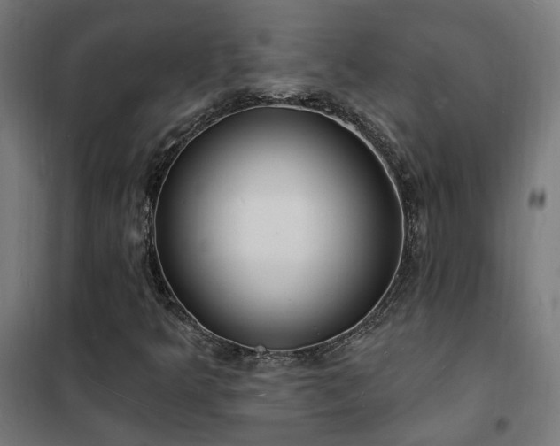 X0000102231349200807251225
