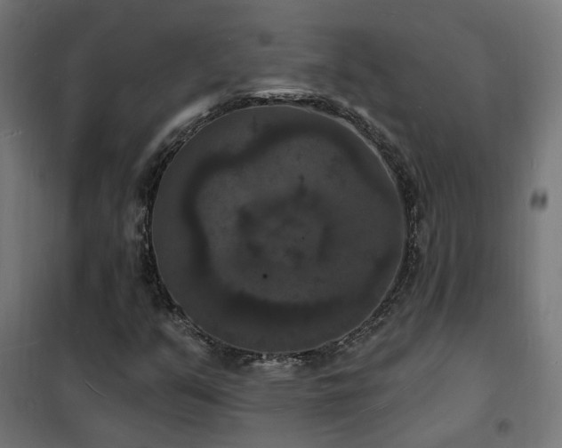 X0000102231351200807251225