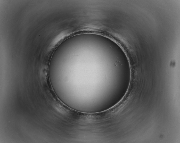 X0000102231355200807251225