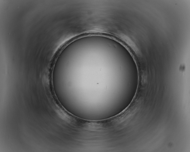 X0000102231356200807251225