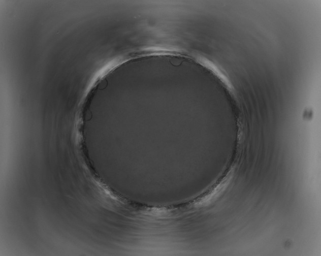 X0000102231357200807251225