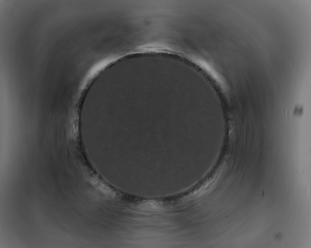 X0000102231358200807251225