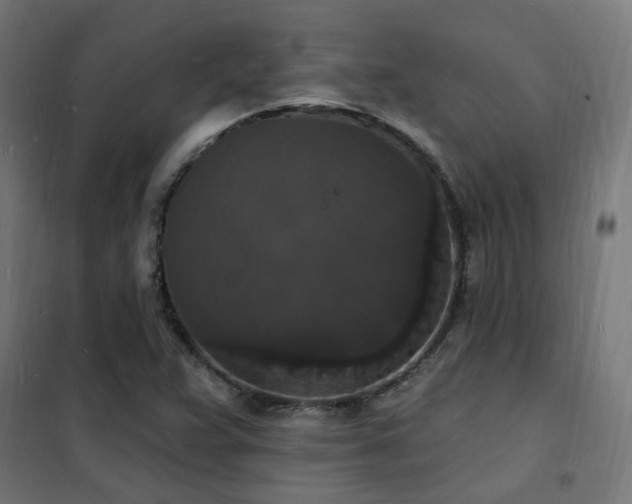 X0000102231359200807251225