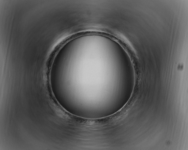 X0000102231360200807251225