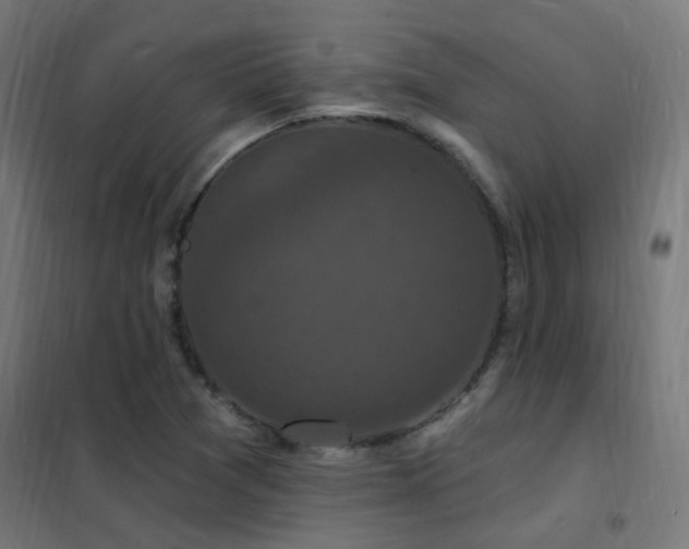 X0000102231361200807251225