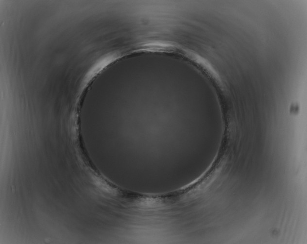 X0000102231362200807251225