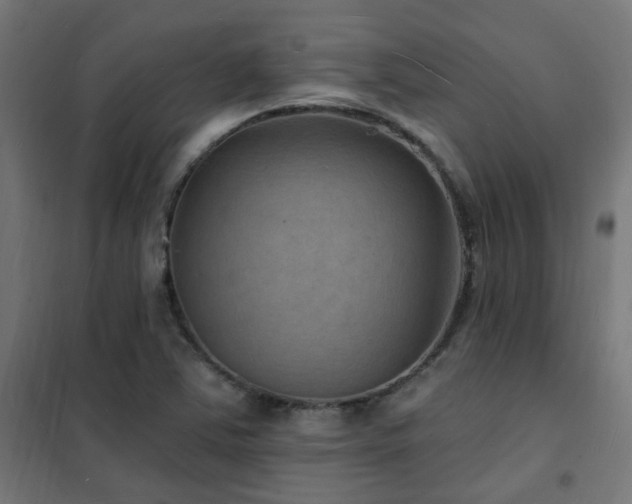 X0000102231363200807251225