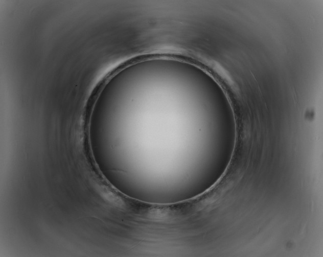 X0000102231364200807251225