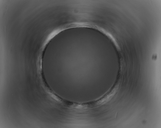 X0000102231365200807251225