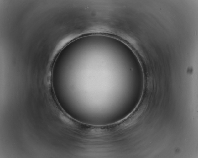 X0000102231366200807251225