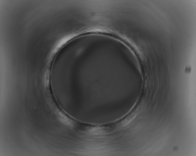 X0000102231367200807251225