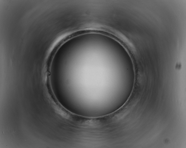 X0000102231368200807251225