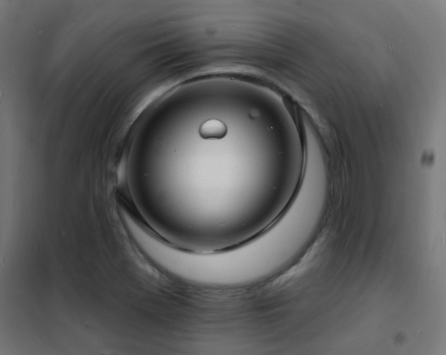 X0000102231369200807251225