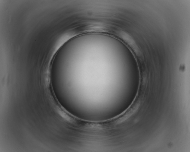 X0000102231370200807251225