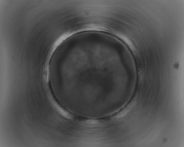 X0000102231371200807251225