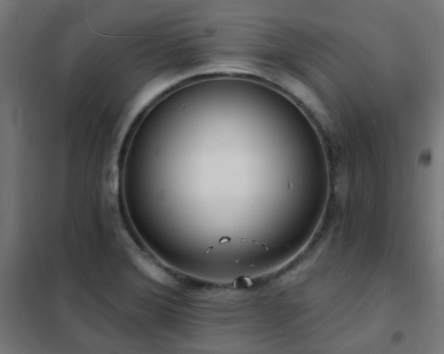 X0000102231372200807251225