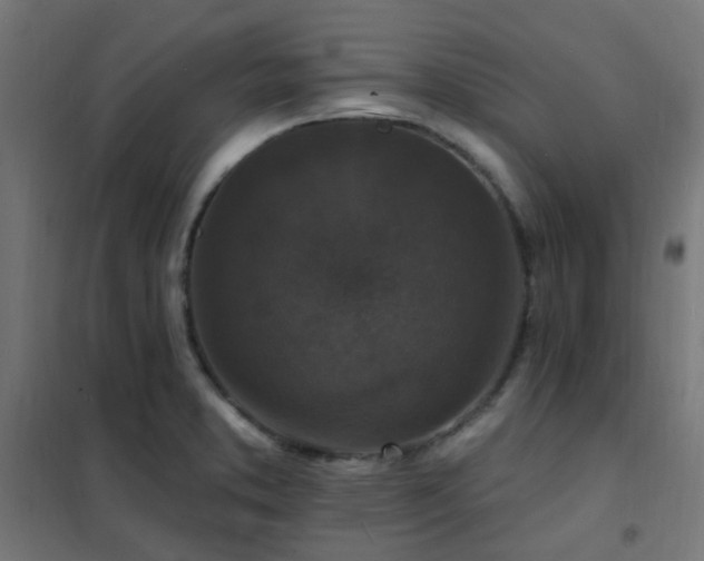 X0000102231373200807251225