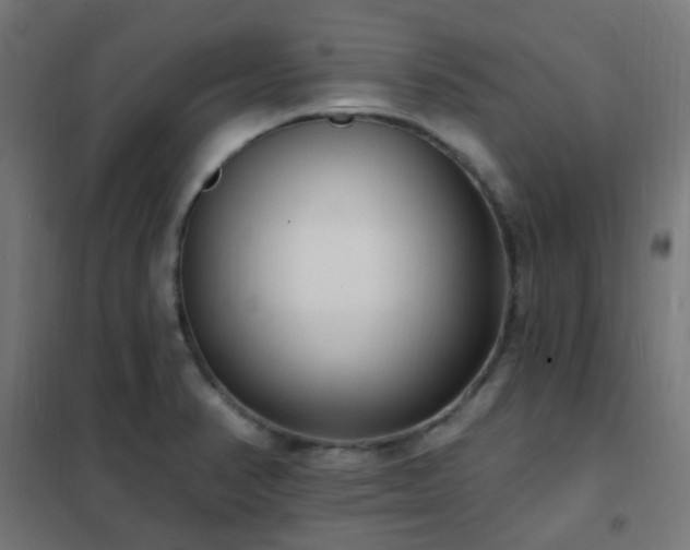 X0000102231374200807251225