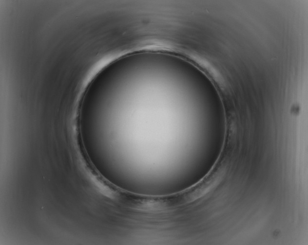 X0000102231375200807251225