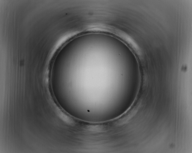 X0000102231376200807251225