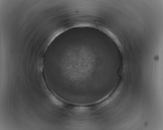 X0000102231377200807251225