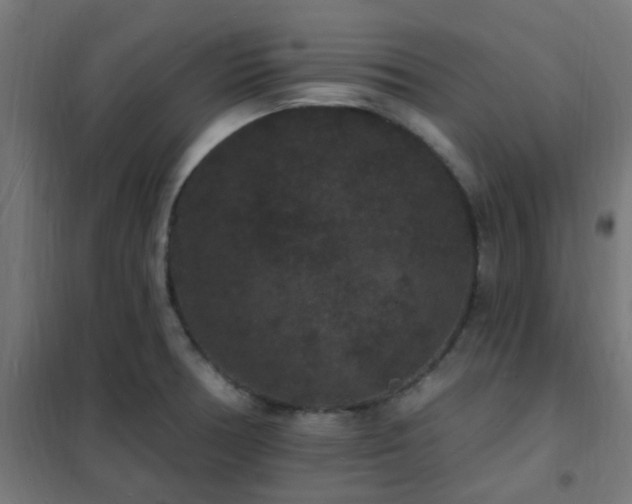 X0000102231378200807251225
